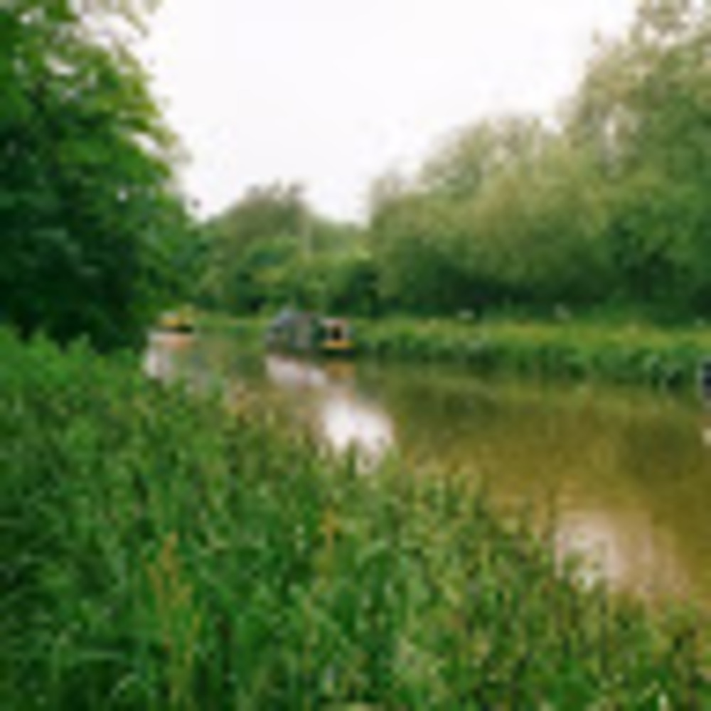 Meet your Posher, Elissa